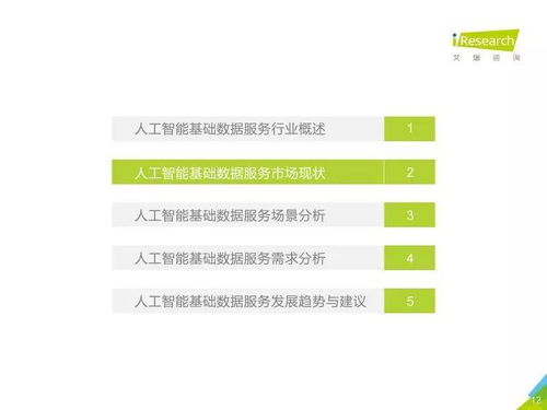 中國(guó)人工智能基礎(chǔ)數(shù)據(jù)服務(wù)行業(yè)報(bào)告——聚焦人工智能基礎(chǔ)軟件開發(fā)