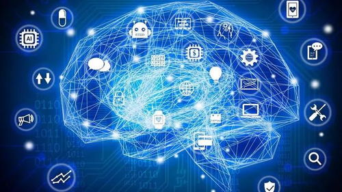 武侯教育界的硬核科技 人工智能基礎(chǔ)軟件開發(fā)引領(lǐng)未來教育革新